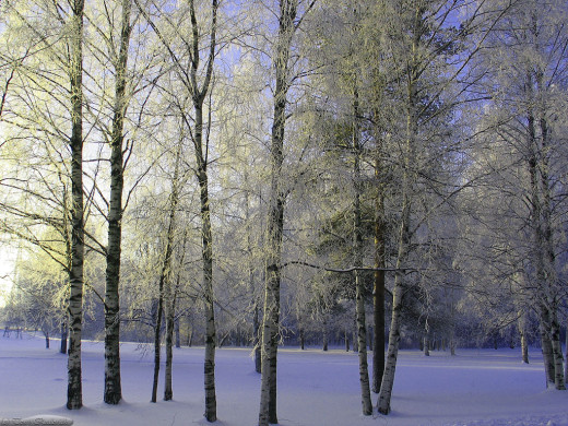 30951 (a): :1024x768